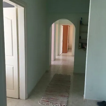 Tiger House دالامان